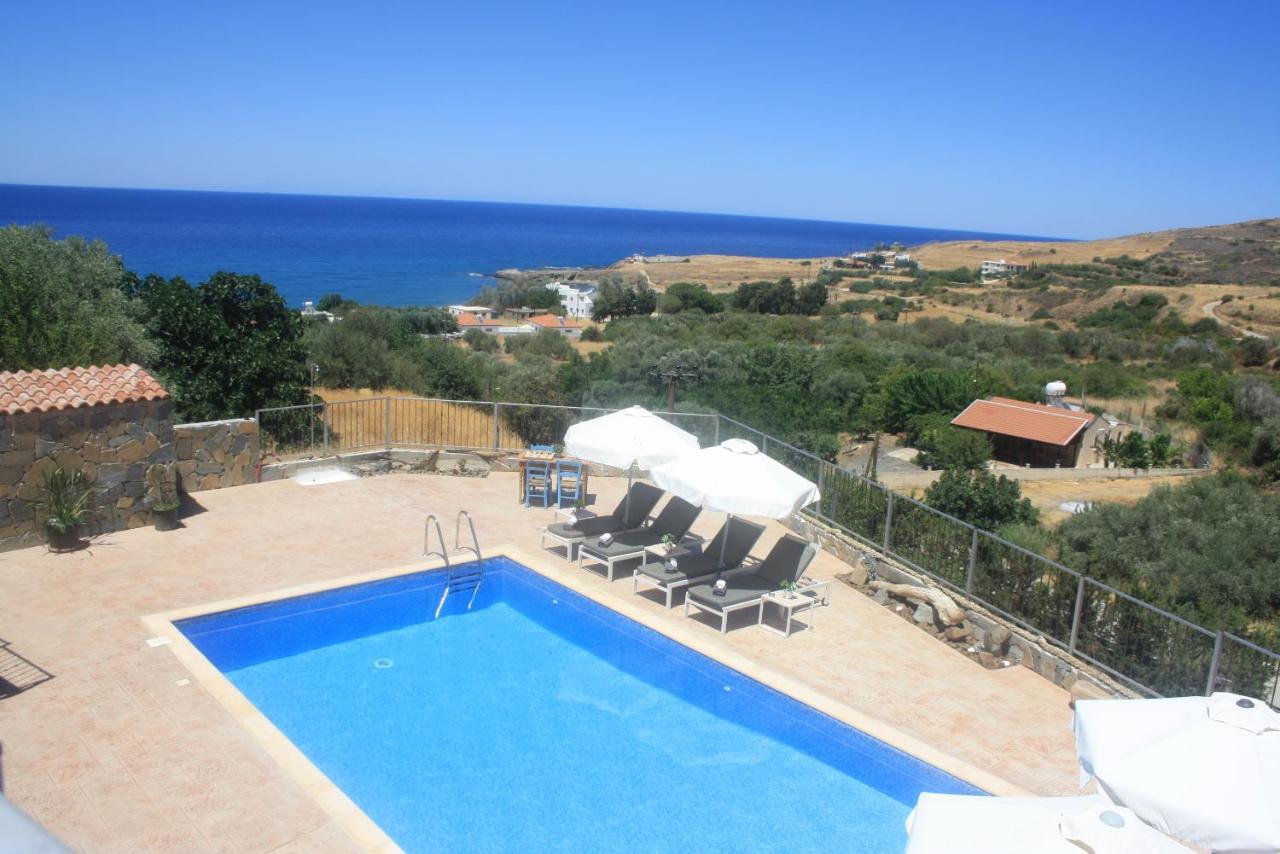 Holiday Apartments,Polynikis Sea-Cret, Pachyammos ภายนอก รูปภาพ